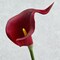 Artificial Calla Lily Red Flowers 12Pcs for Wedding Bouquet Home Decoration Faux Calla Lilies Flower, Dark Red